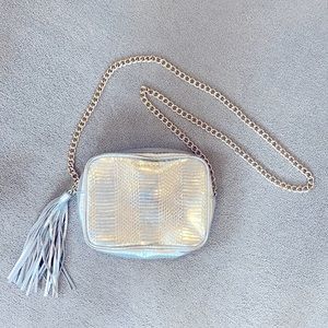 Victoria’s Secret silver and gold purse.